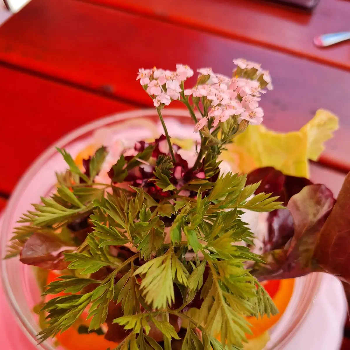 Salat Mit Blumen