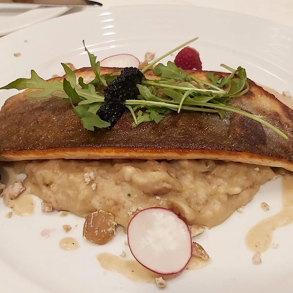 Char Fillet