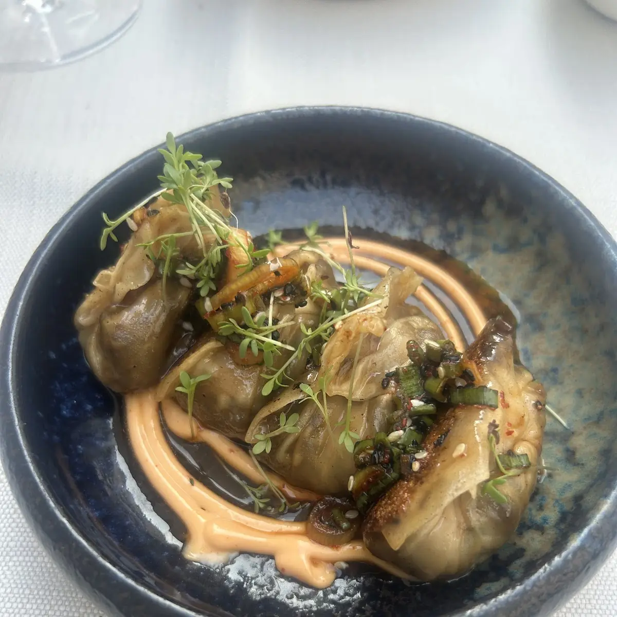 Pulled Beef Gyoza