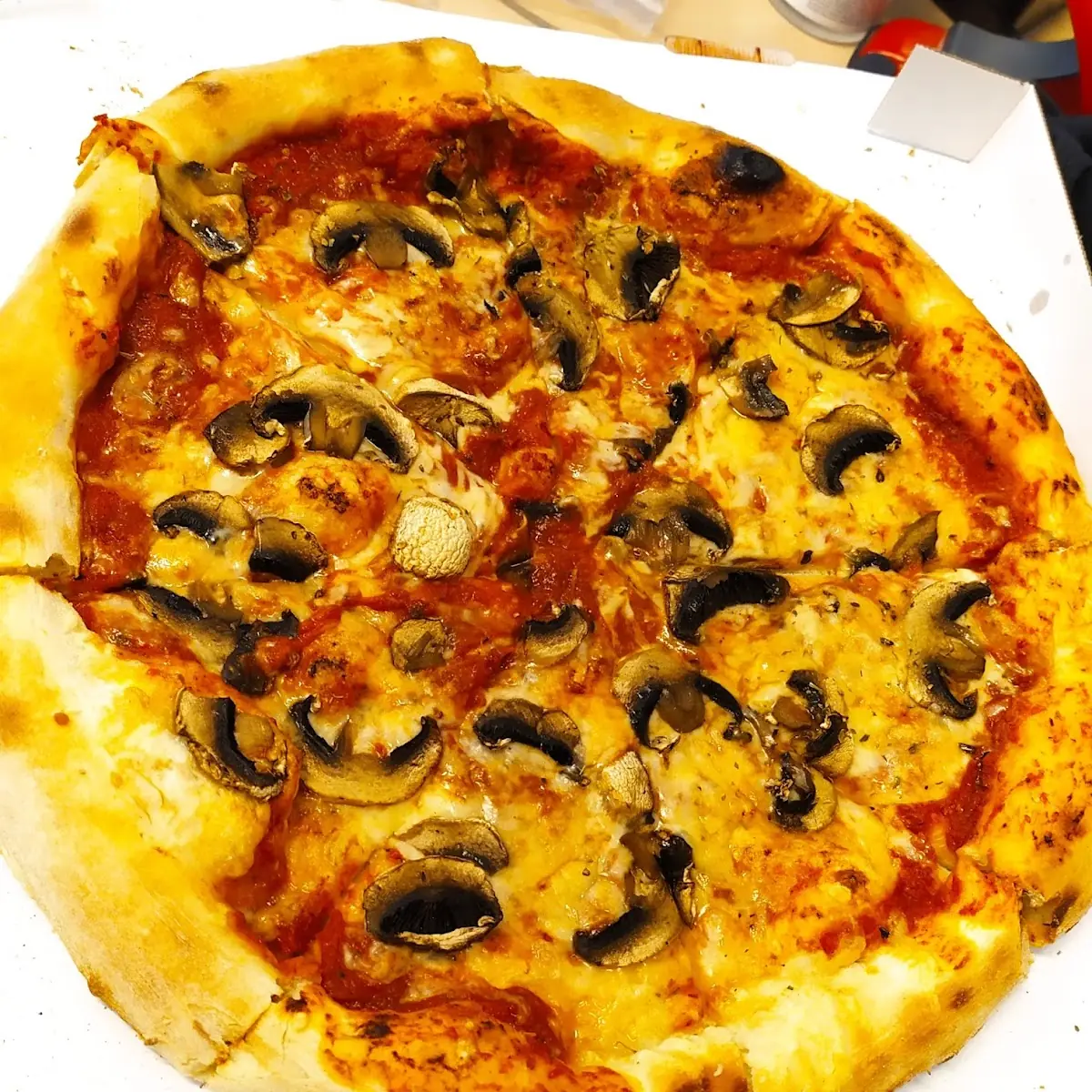 Pizza Funghi