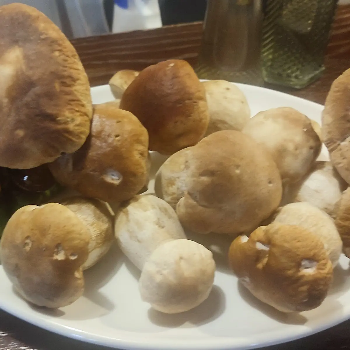 Steinpilze Frisch Aus Dem Wald