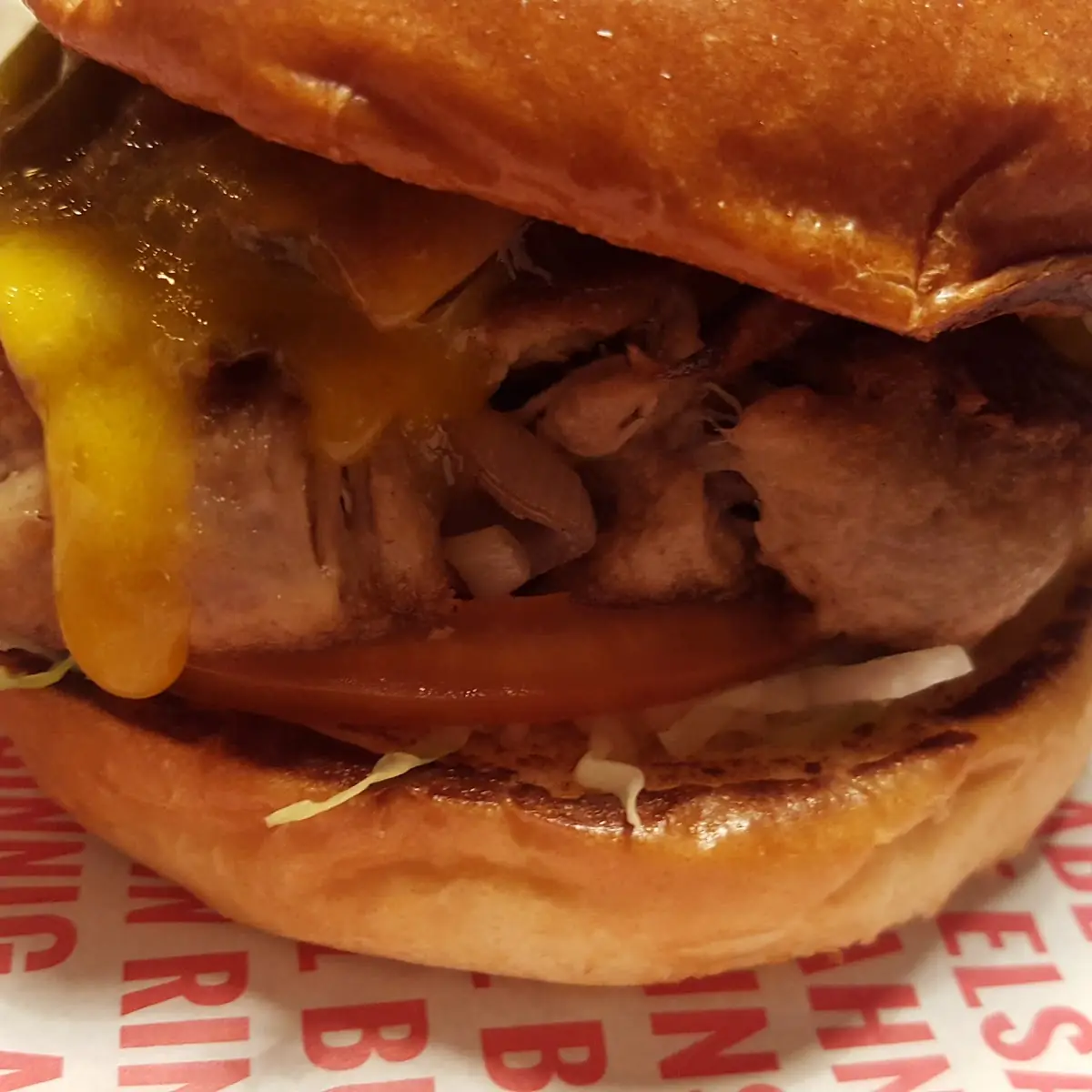 Pulled Pork Burger