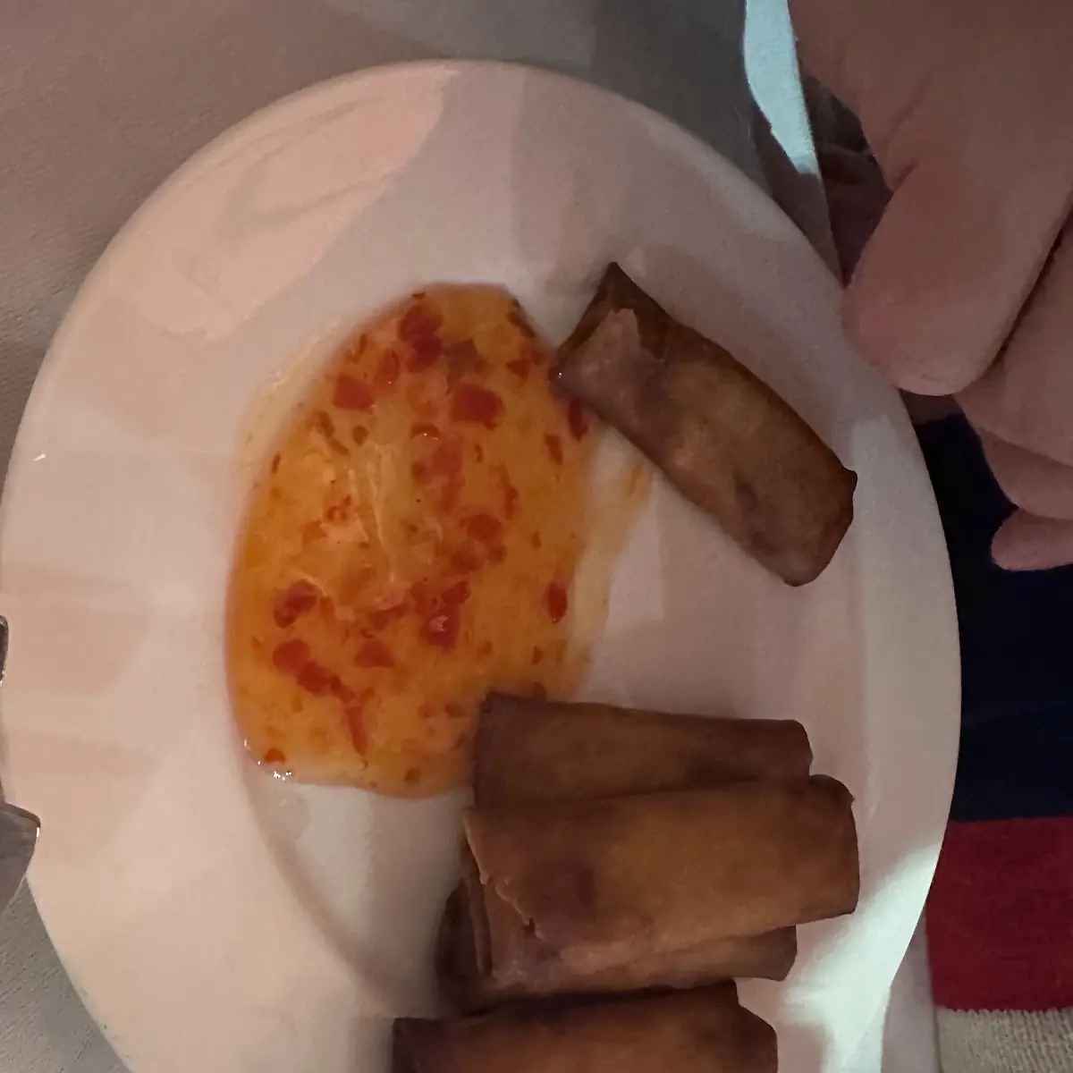 Vegetable Spring Rolls