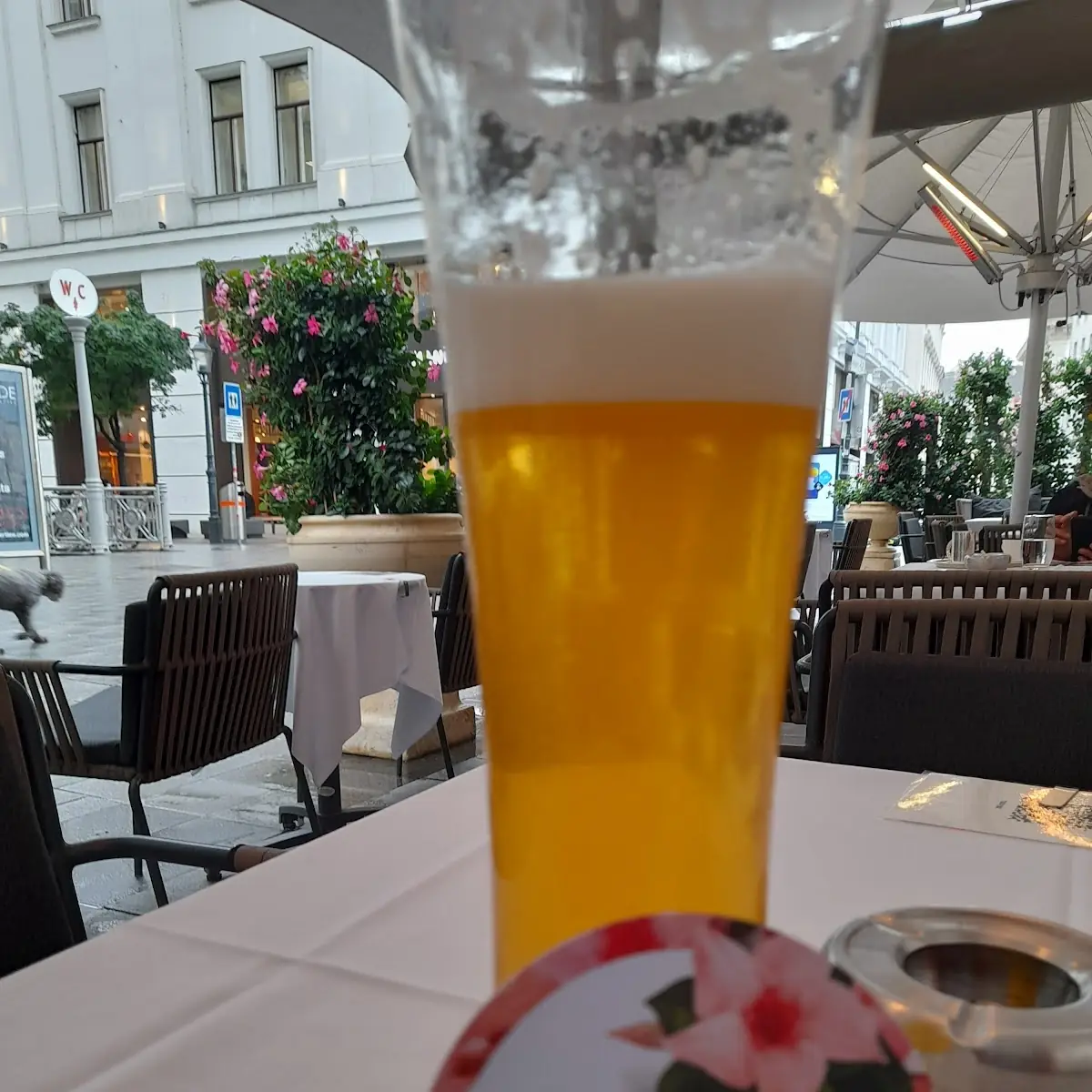 Cerveza