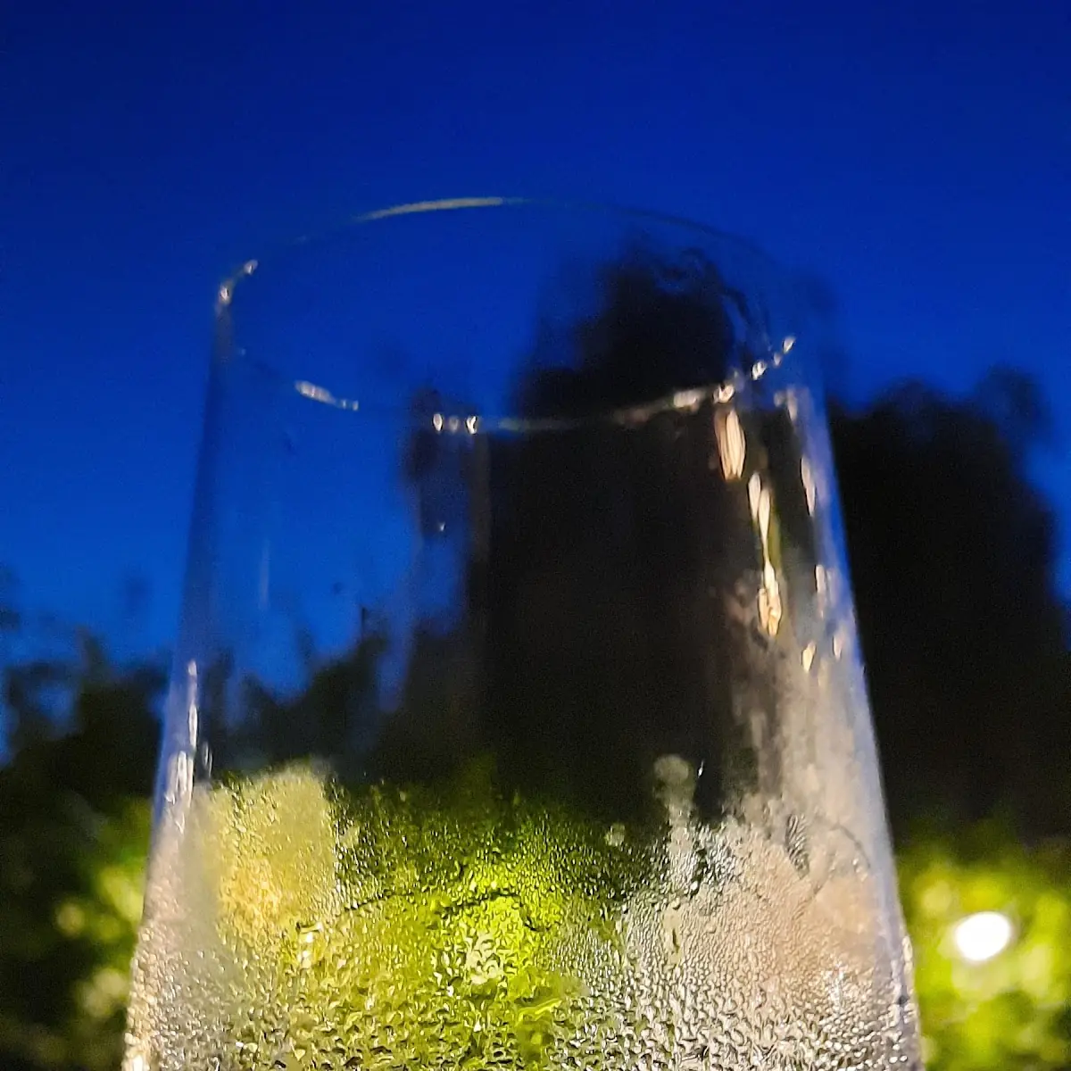 Rosé Wein