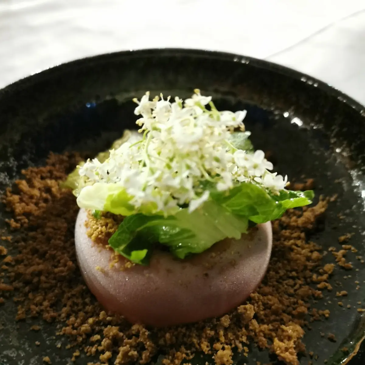 Rhabarber Eis