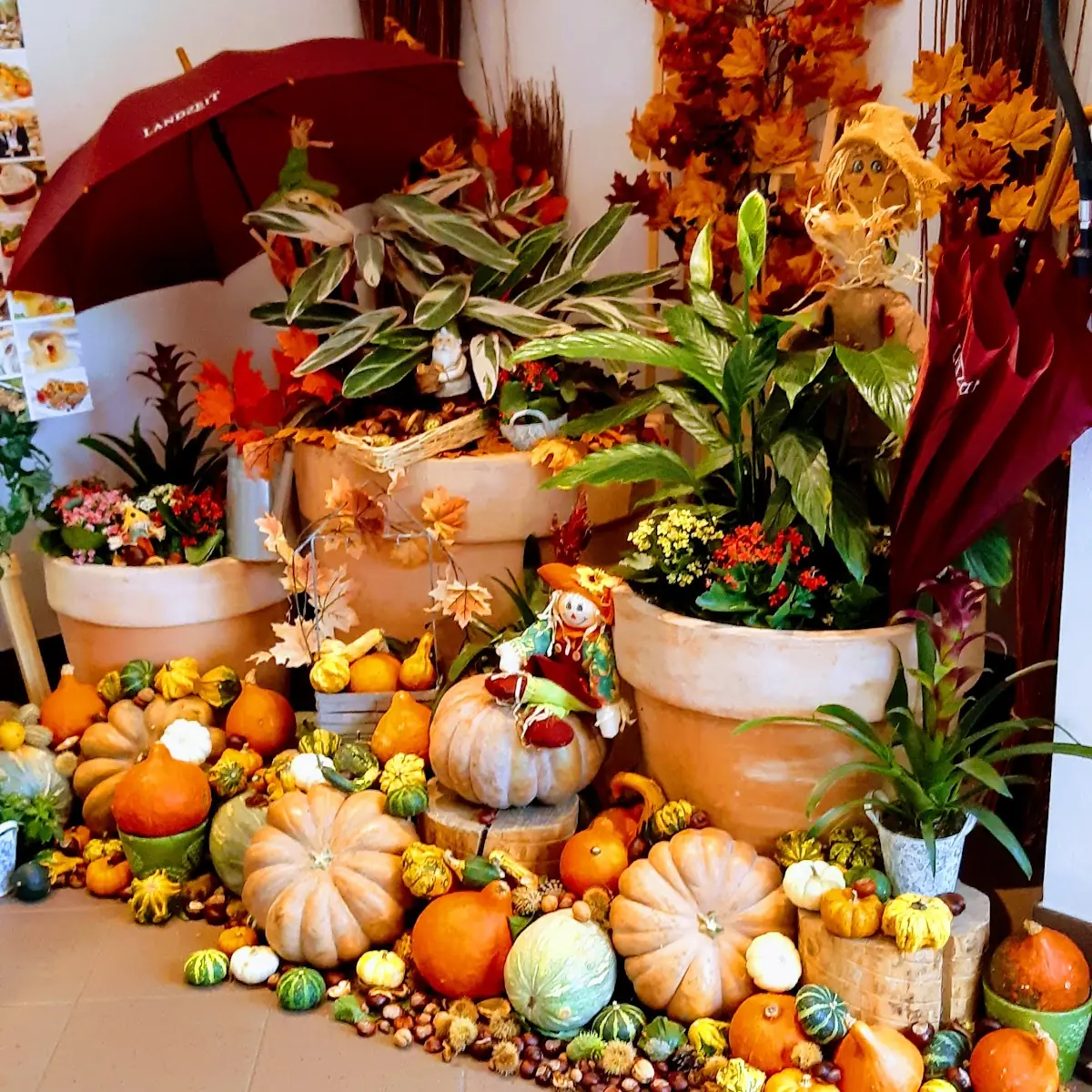 Herbstdekoration