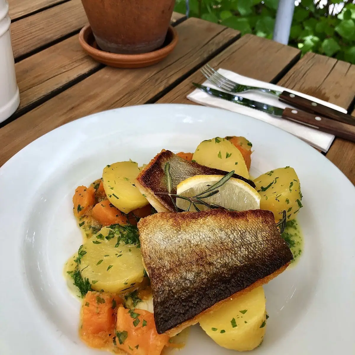 Forellenfilet