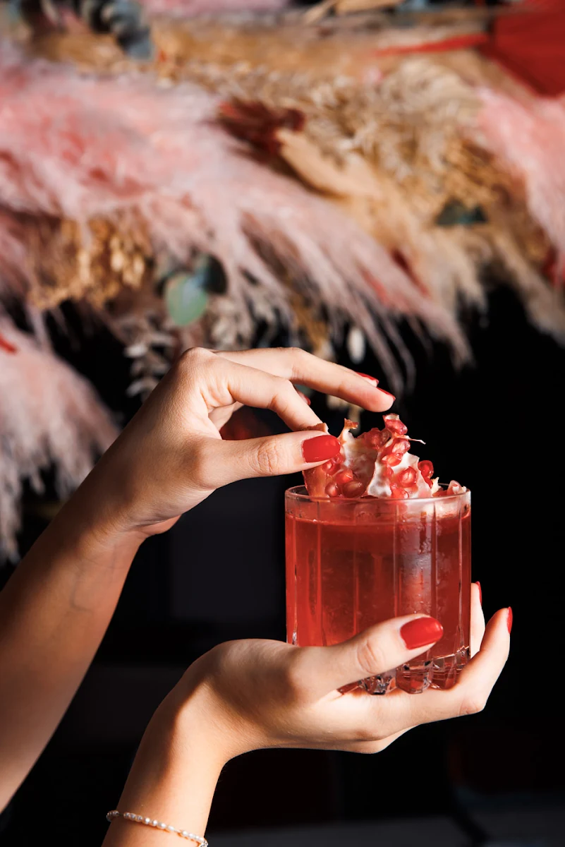 Pomegranate Spritz