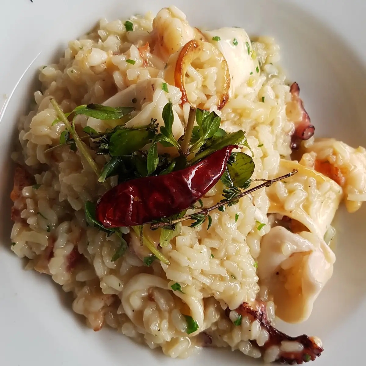 Meeresfrüchte Risotto