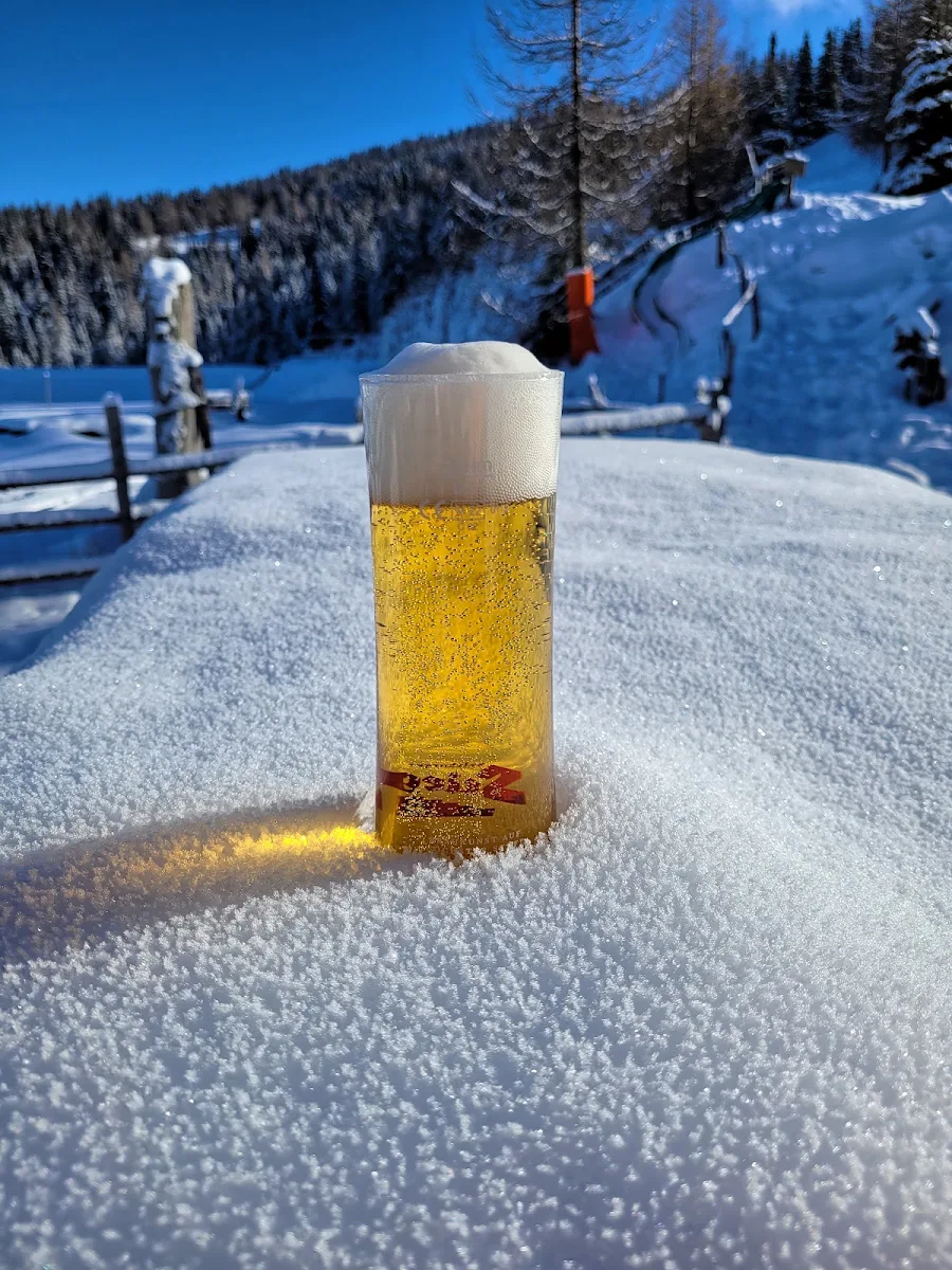 Bier