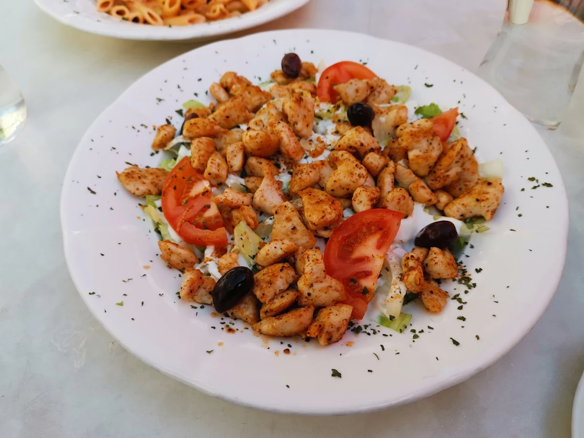 سلطه دجاج