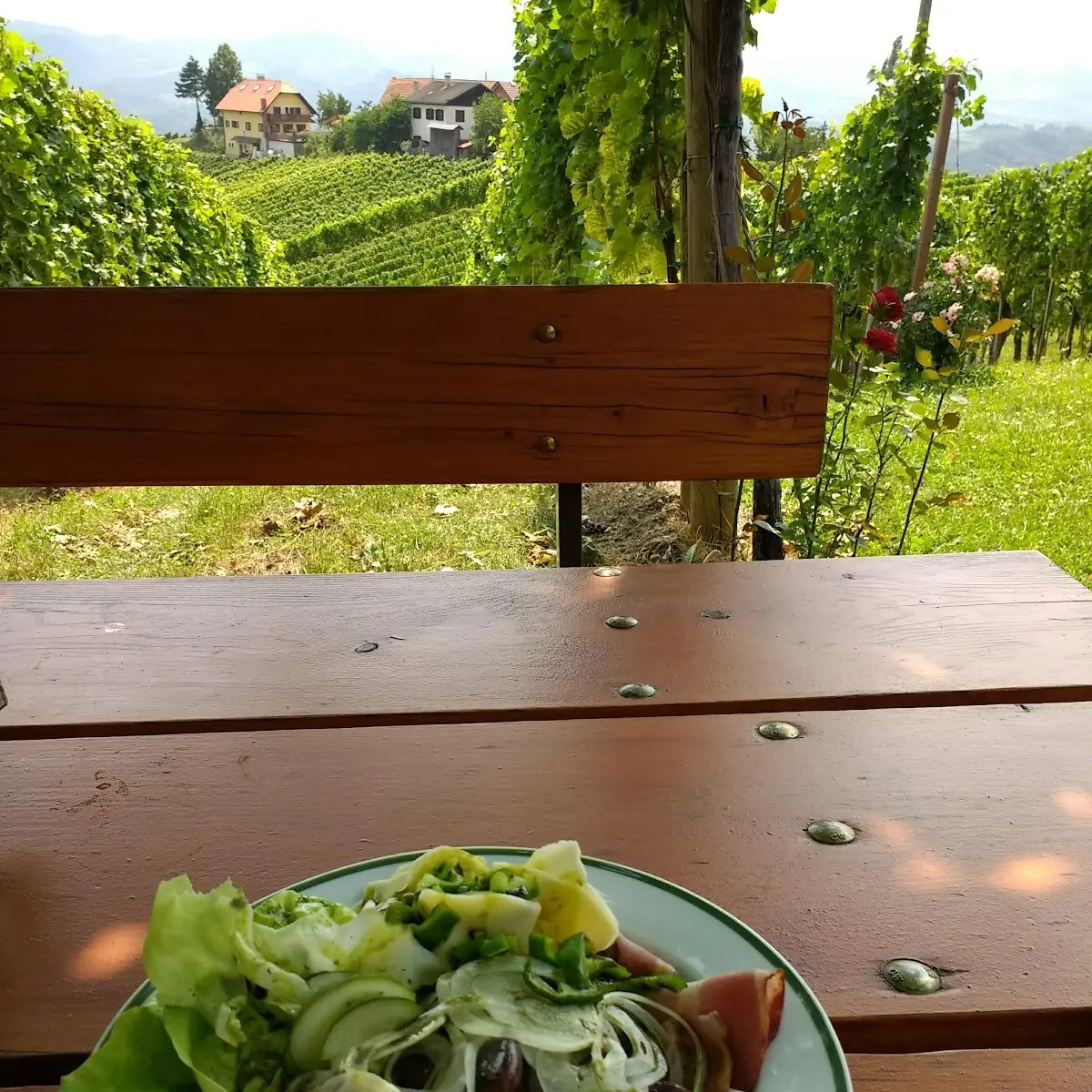 Steirische Käferbohnen