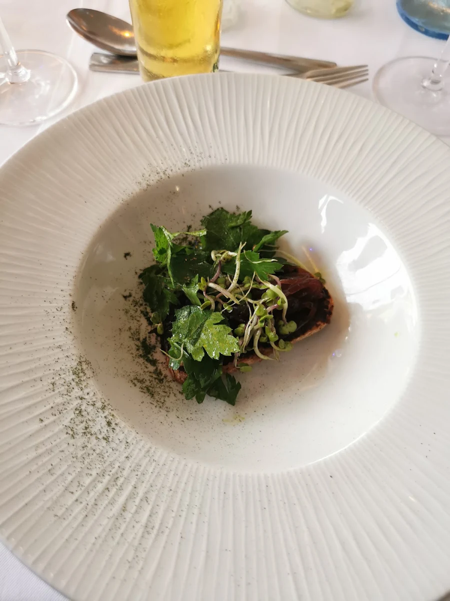 Einlage Bärlauch-spinatschaumsuppe