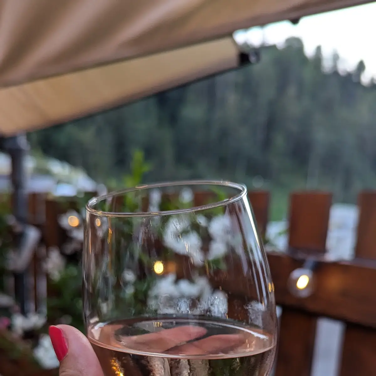 Rosé Wine