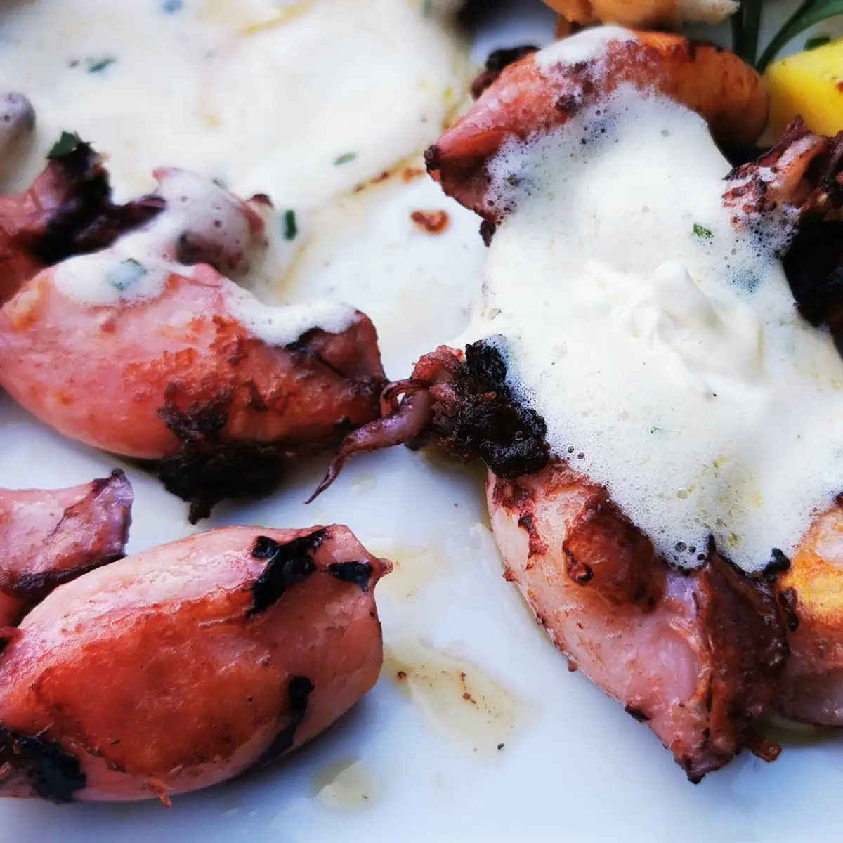 Gegrillte Calamari