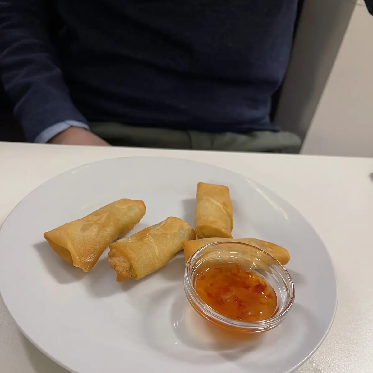 Mini Frühlingsrollen 6 Stück