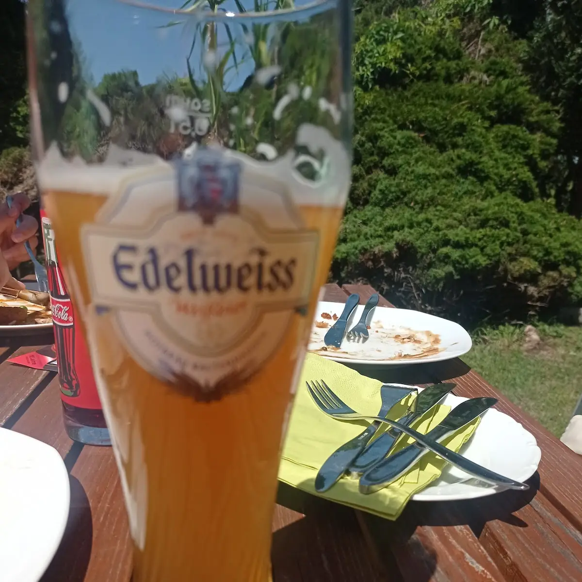 Bier