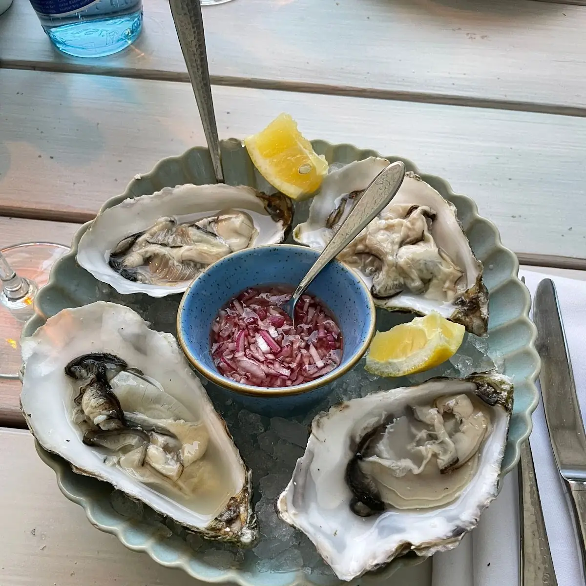 Oysters
