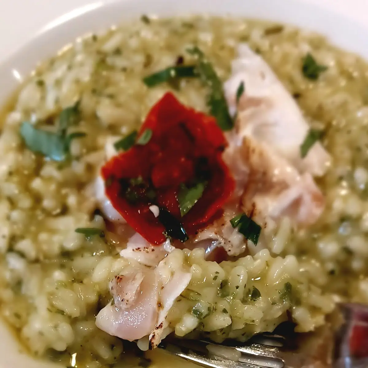 Risotto Mit Wolfsbarsch
