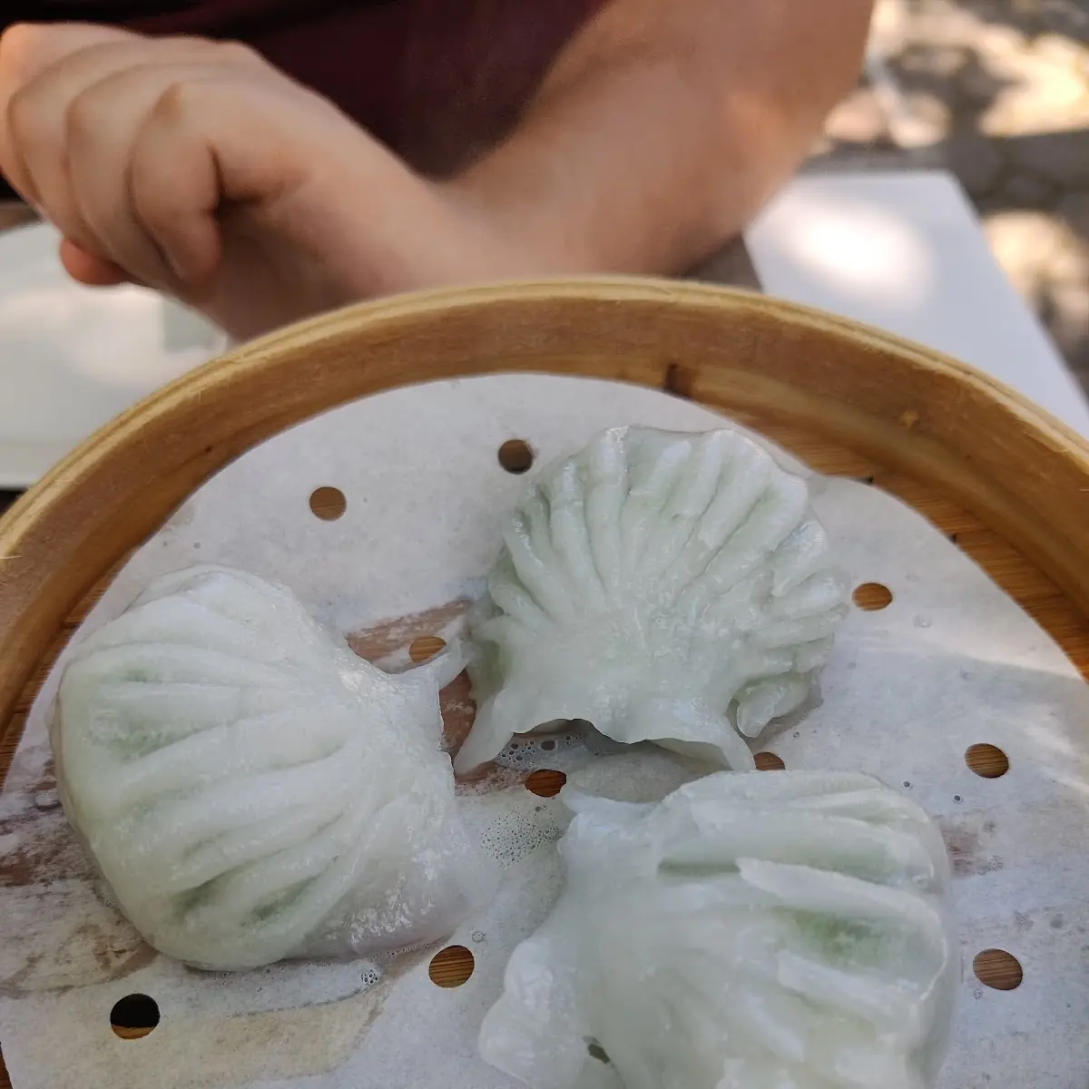 Steamed Dumplings