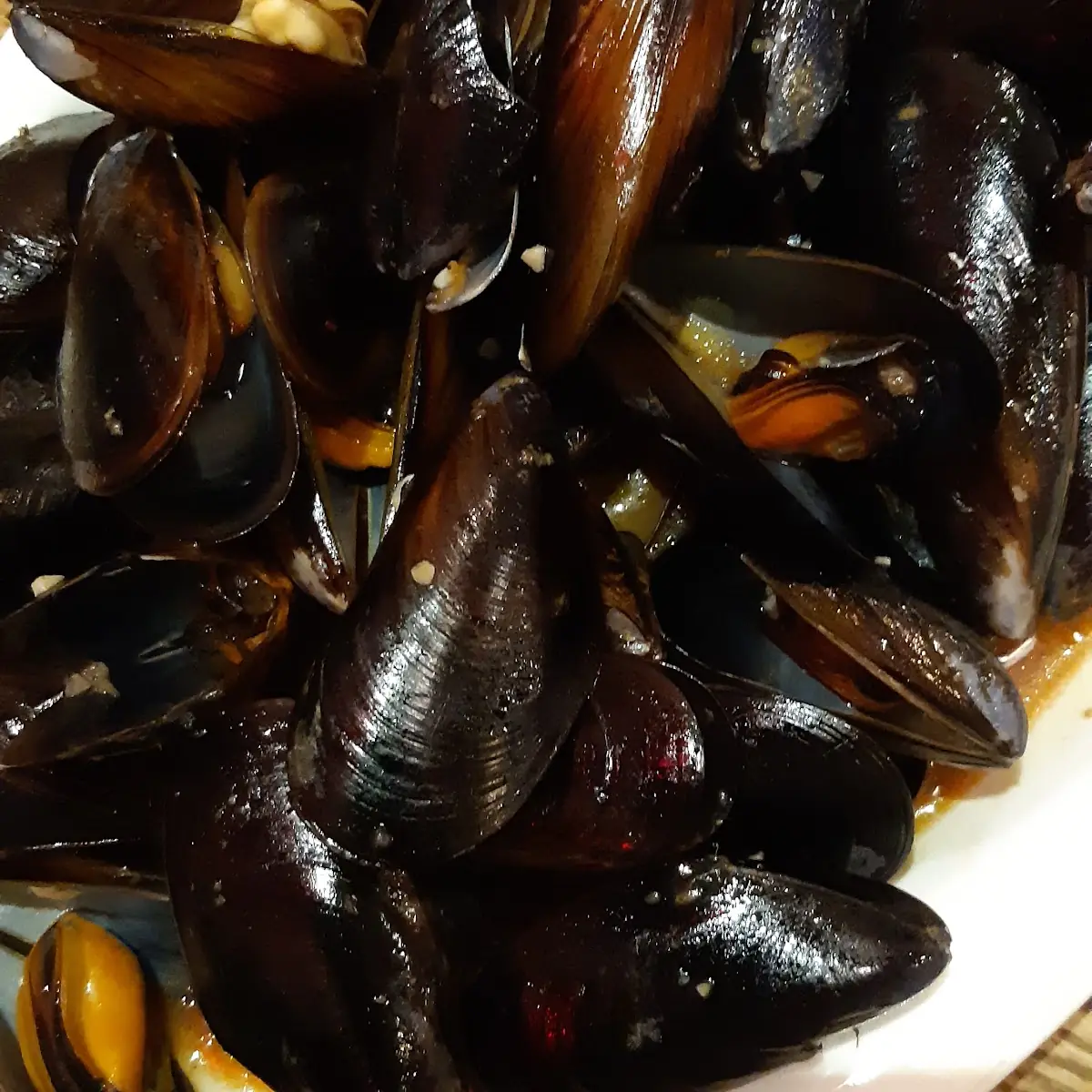 Miesmuscheln
