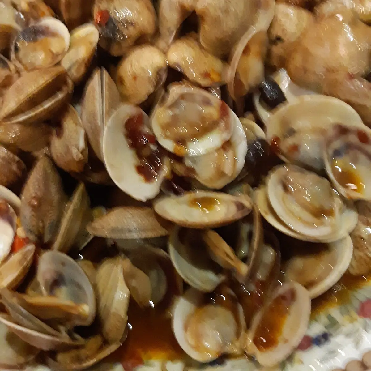 Venusmuscheln