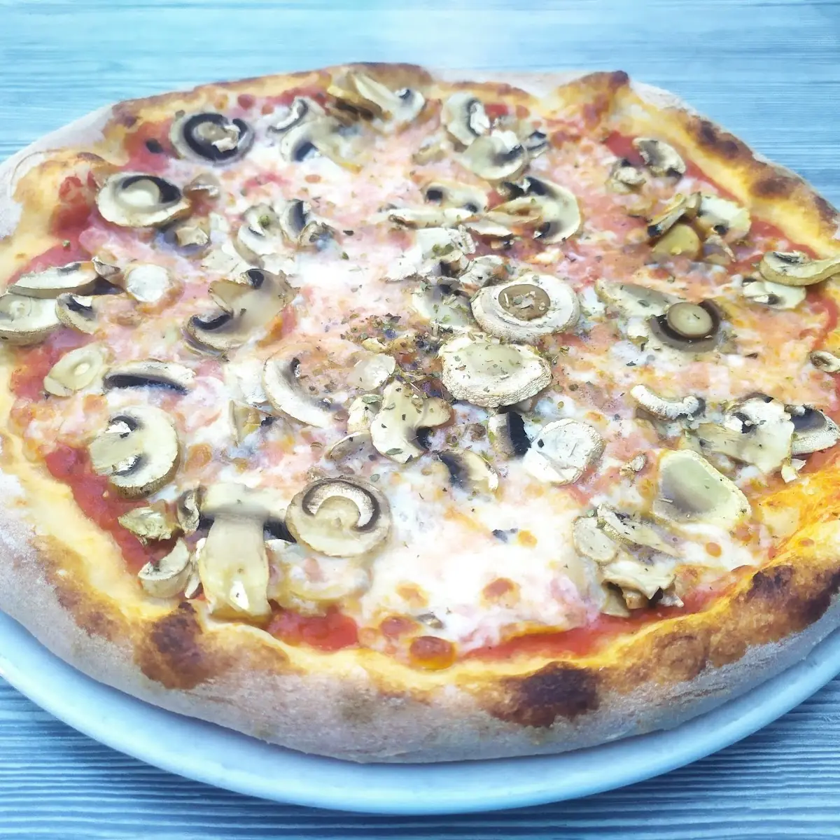 Pizza Funghi