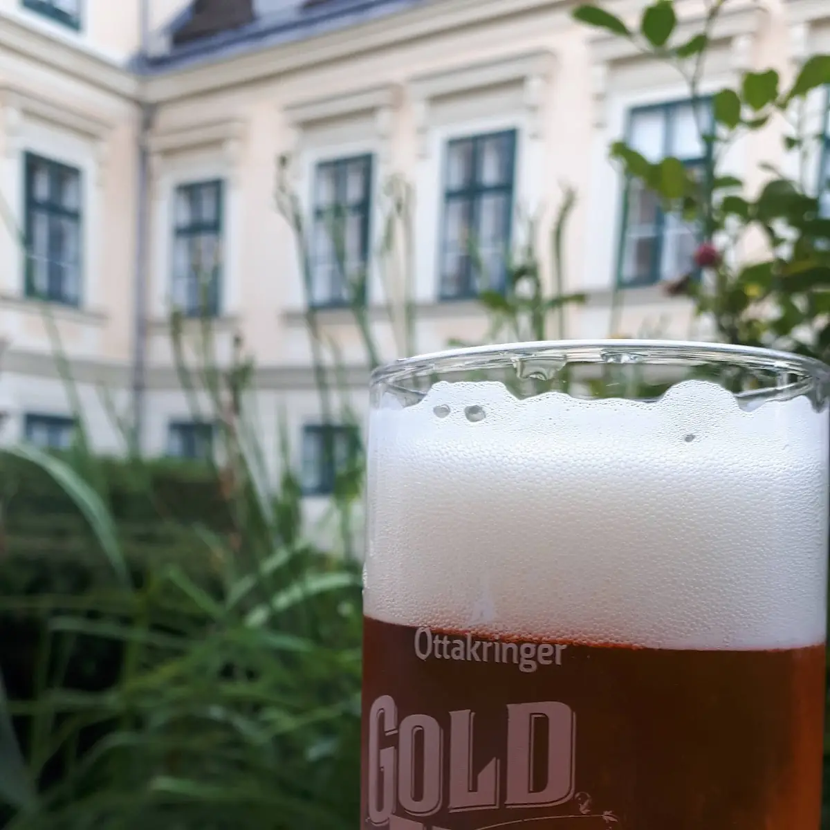 Bier