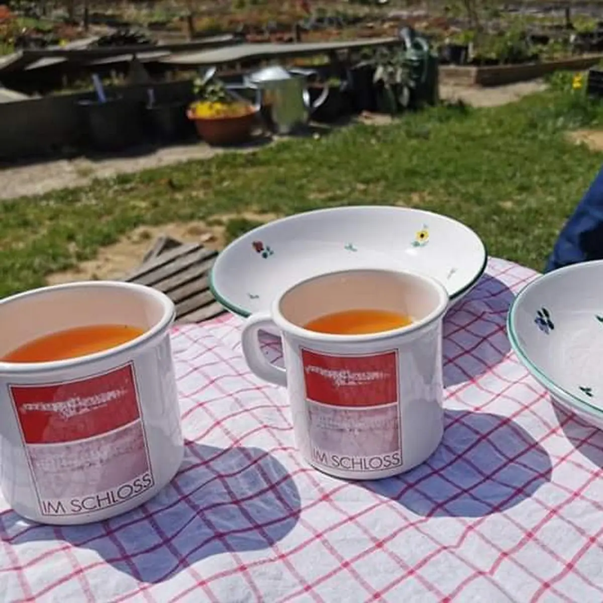 Apfel-karotten-saft