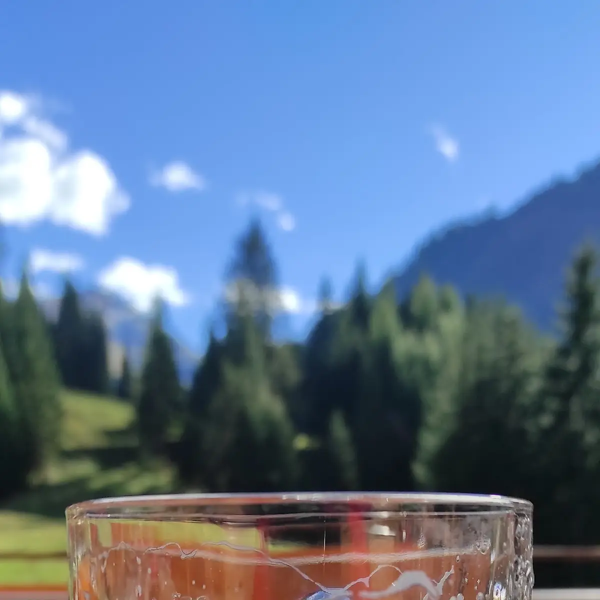 Radler 0 5l