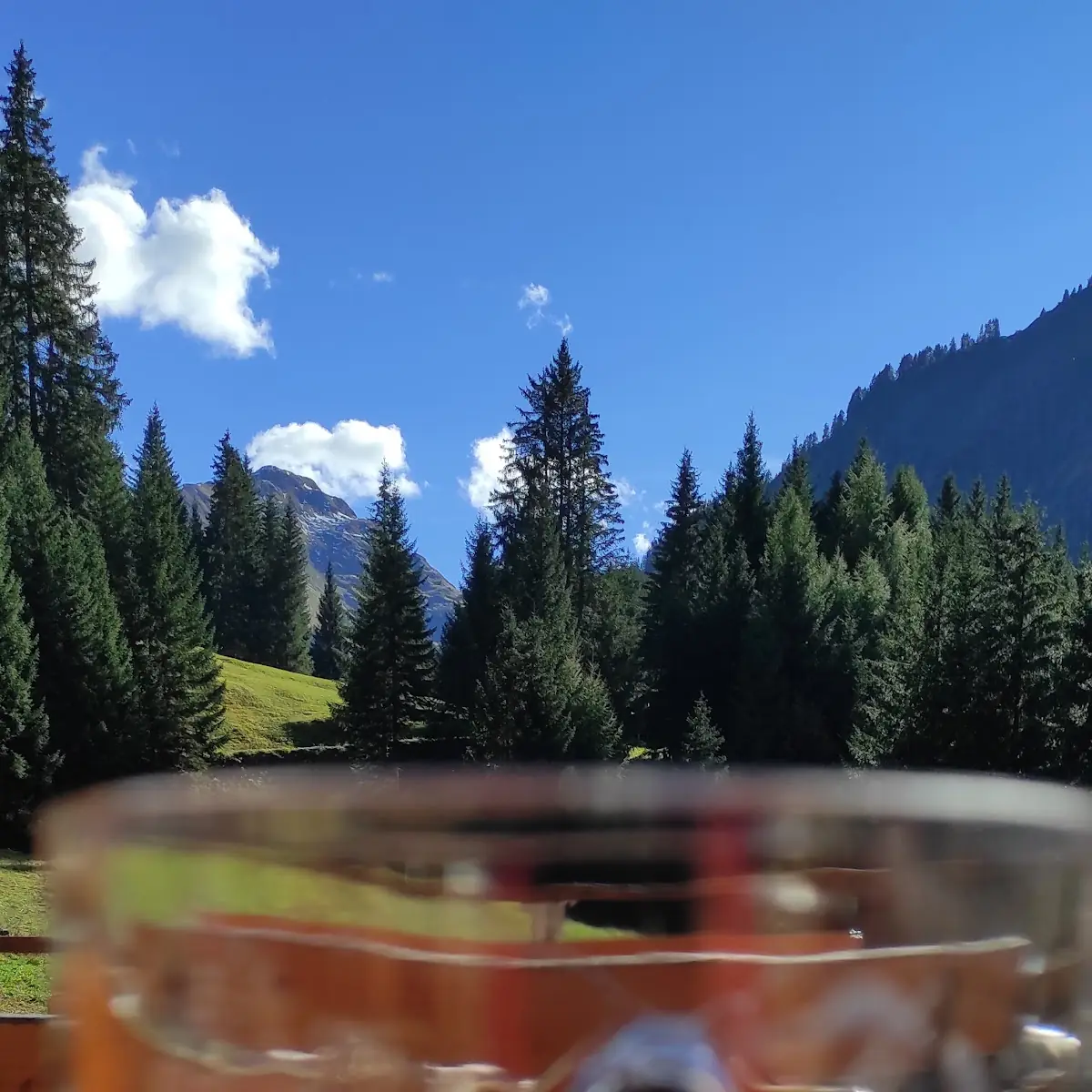 Radler Gösser 0 5l