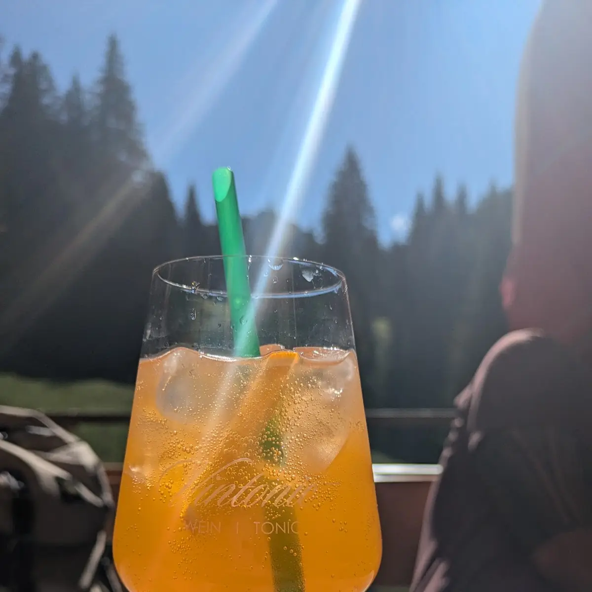 Sanddorn Alpen Spritz