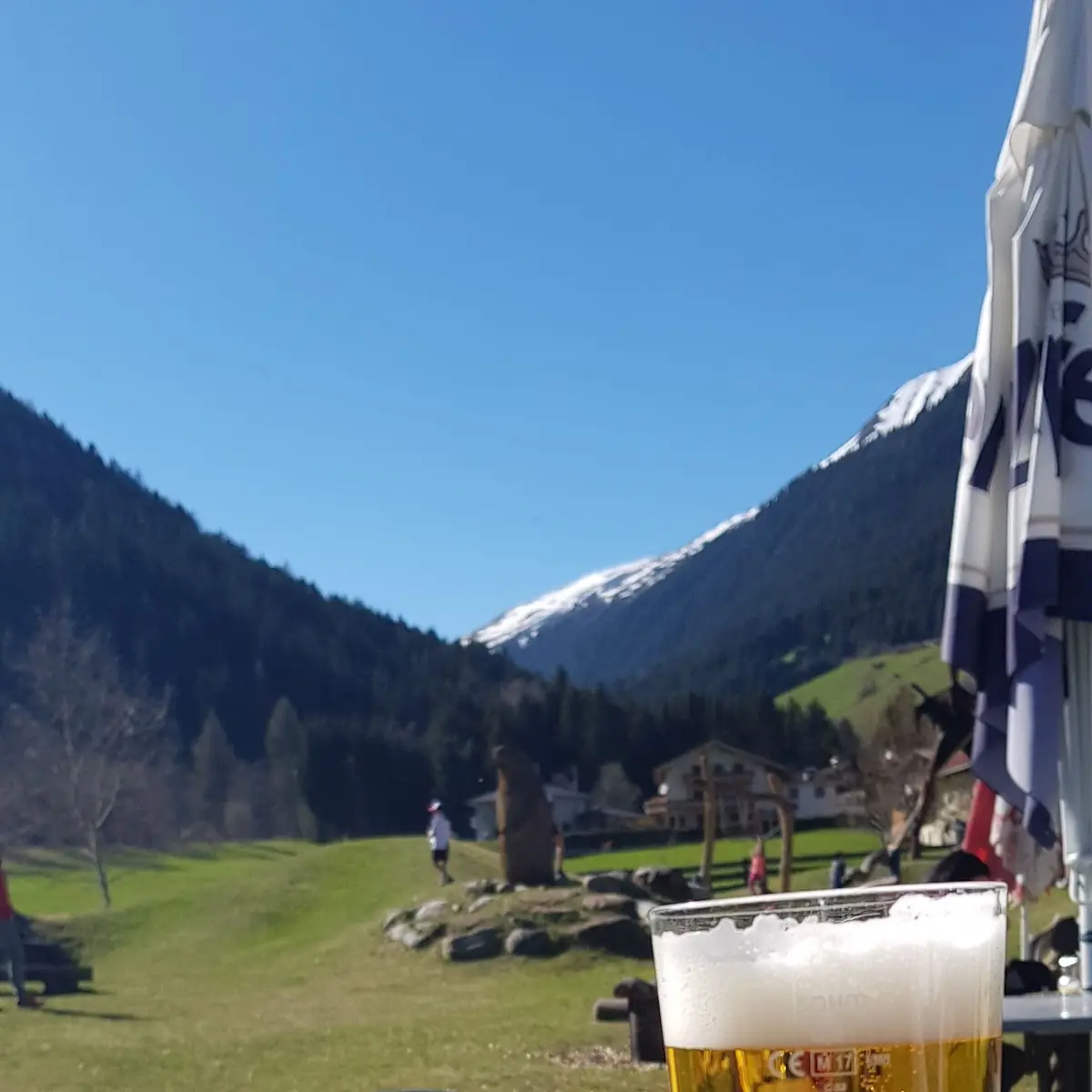 Bier