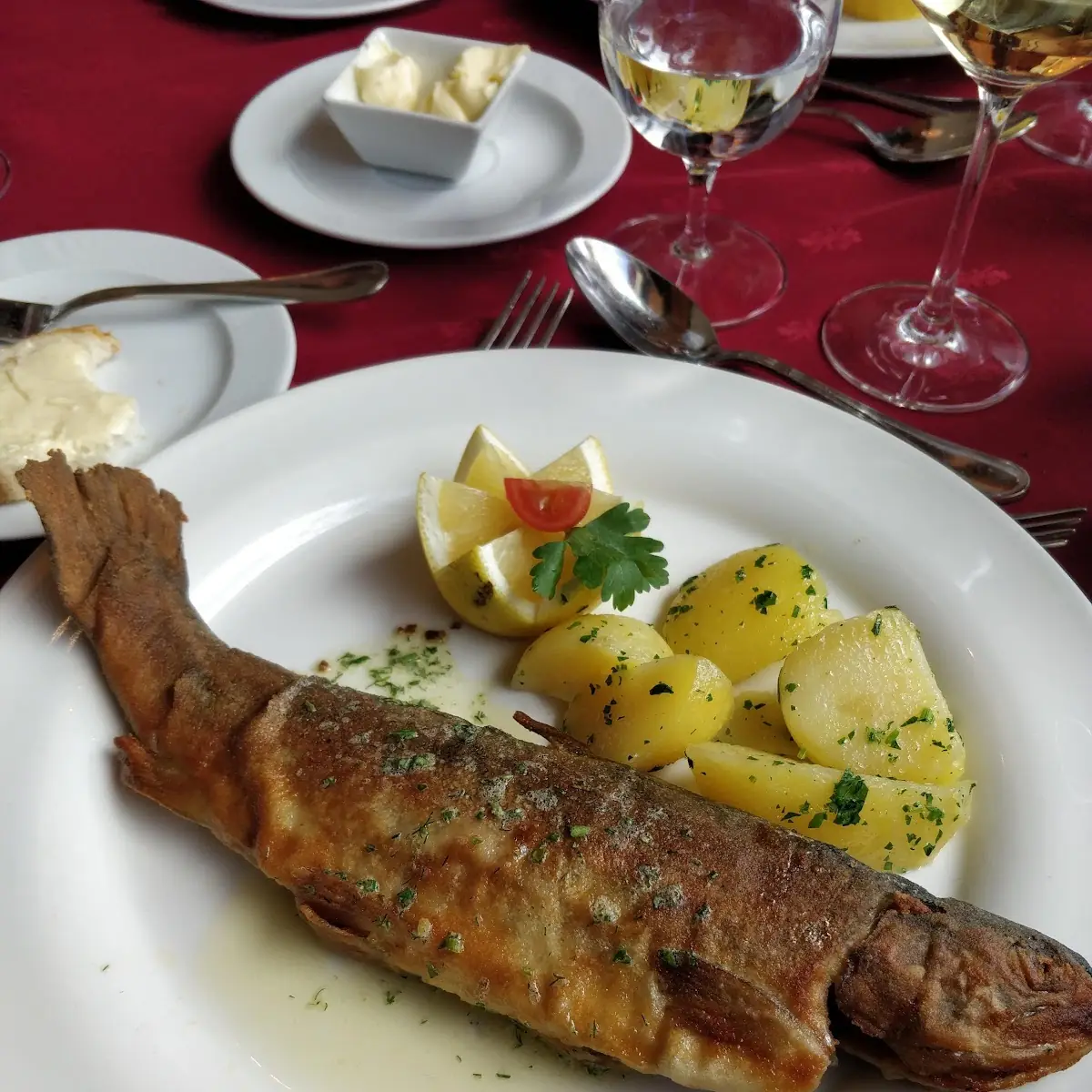 Trout