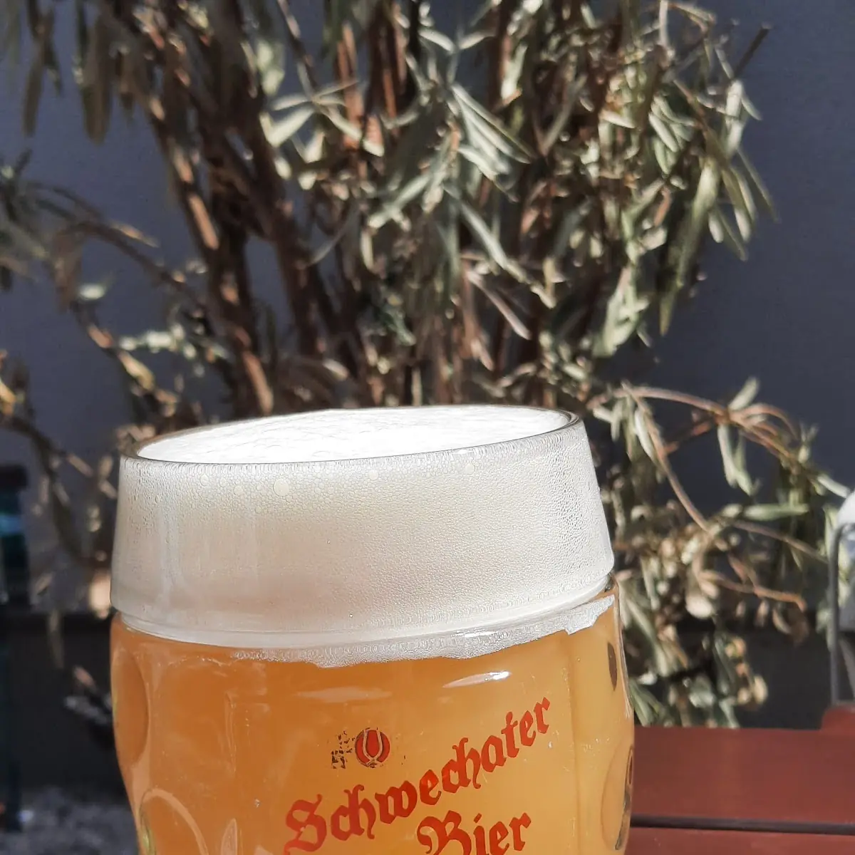 Bier Wiener Lager