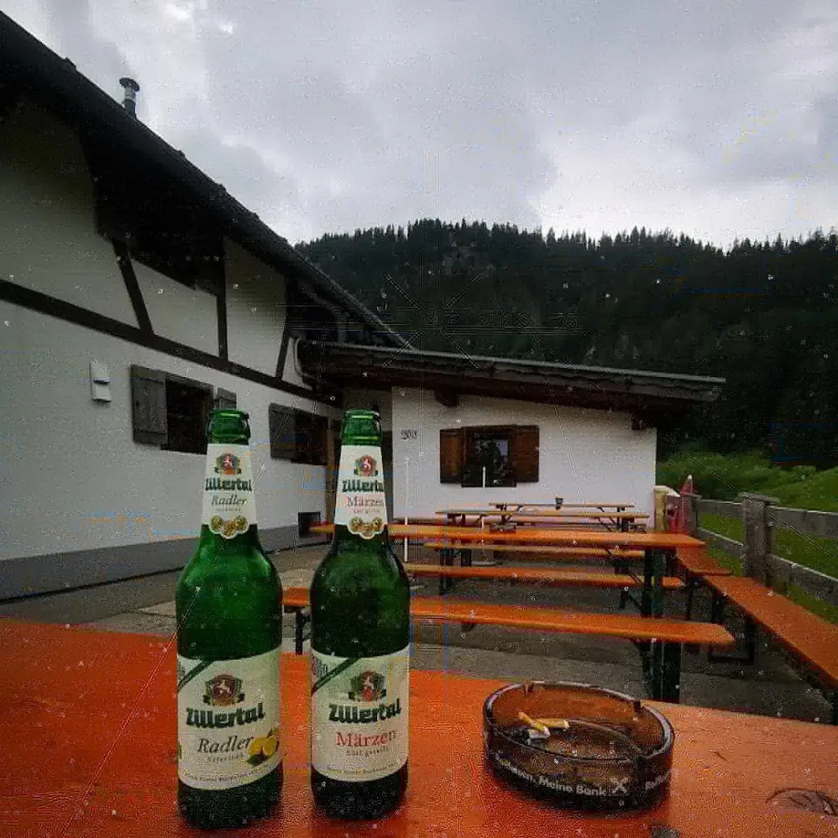 Bier