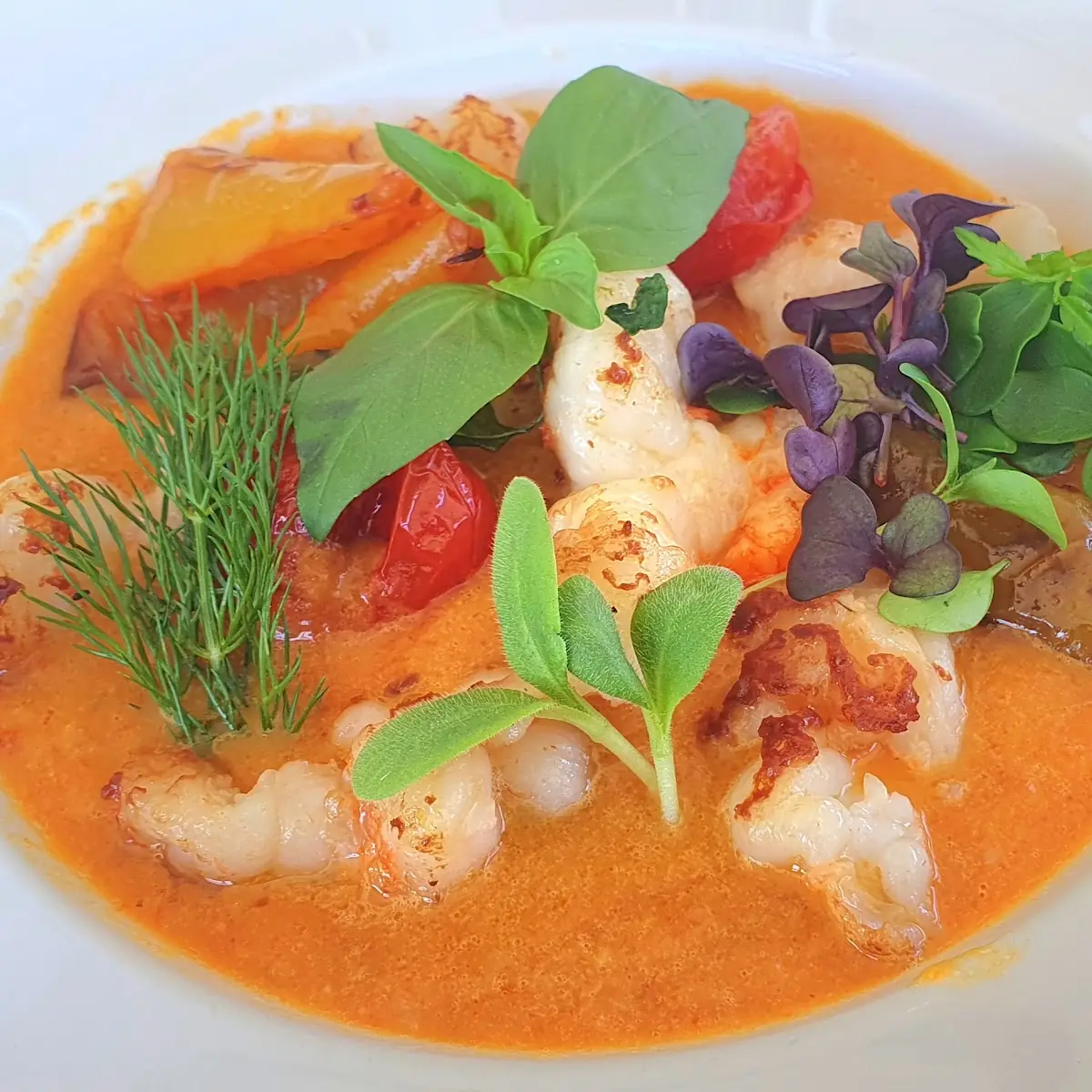 Ceviche