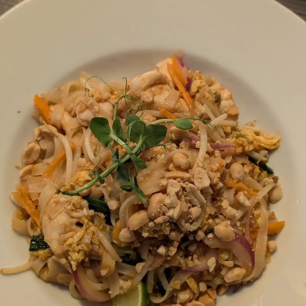 Pad Thai Hühnerfleisch