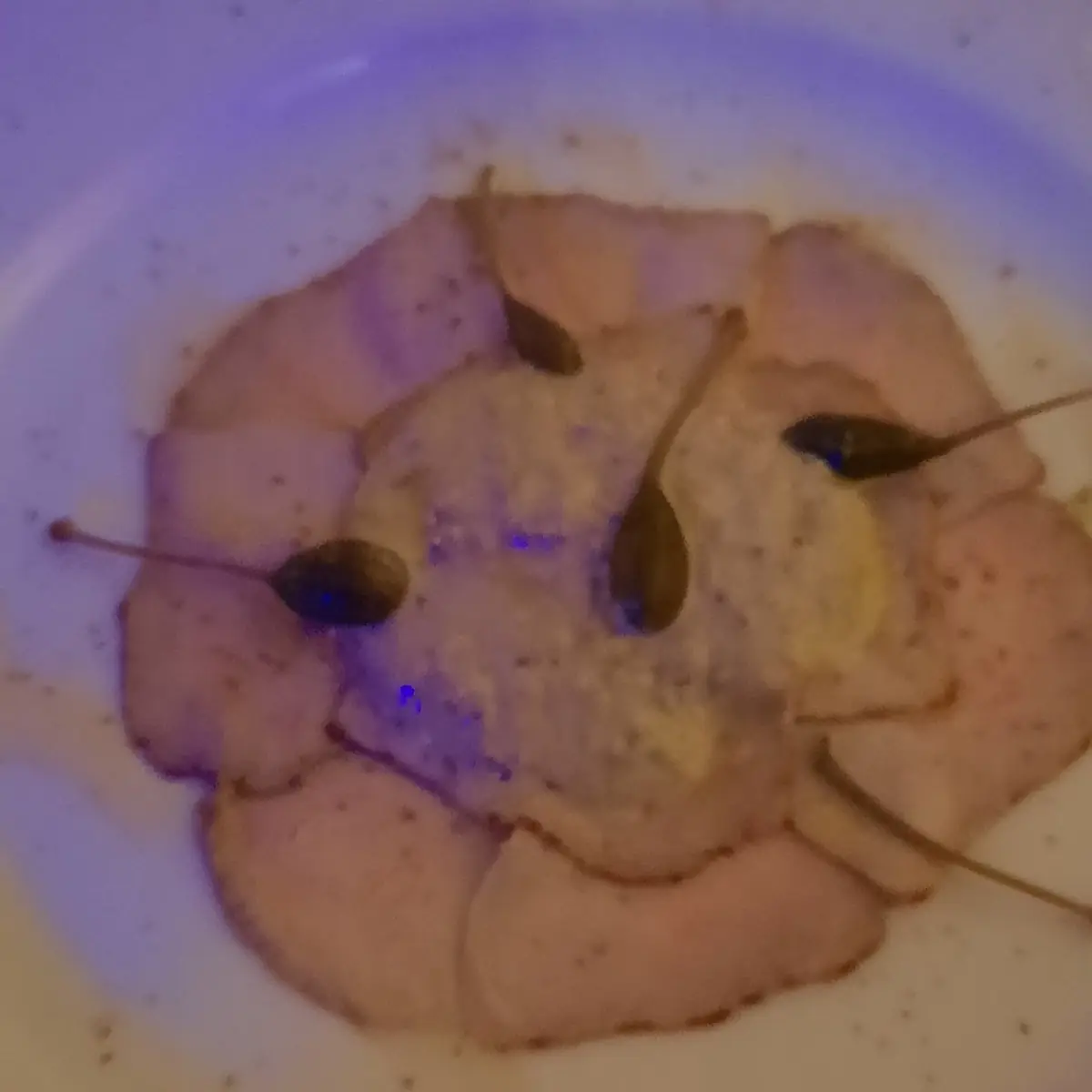 Vitello Tonnato