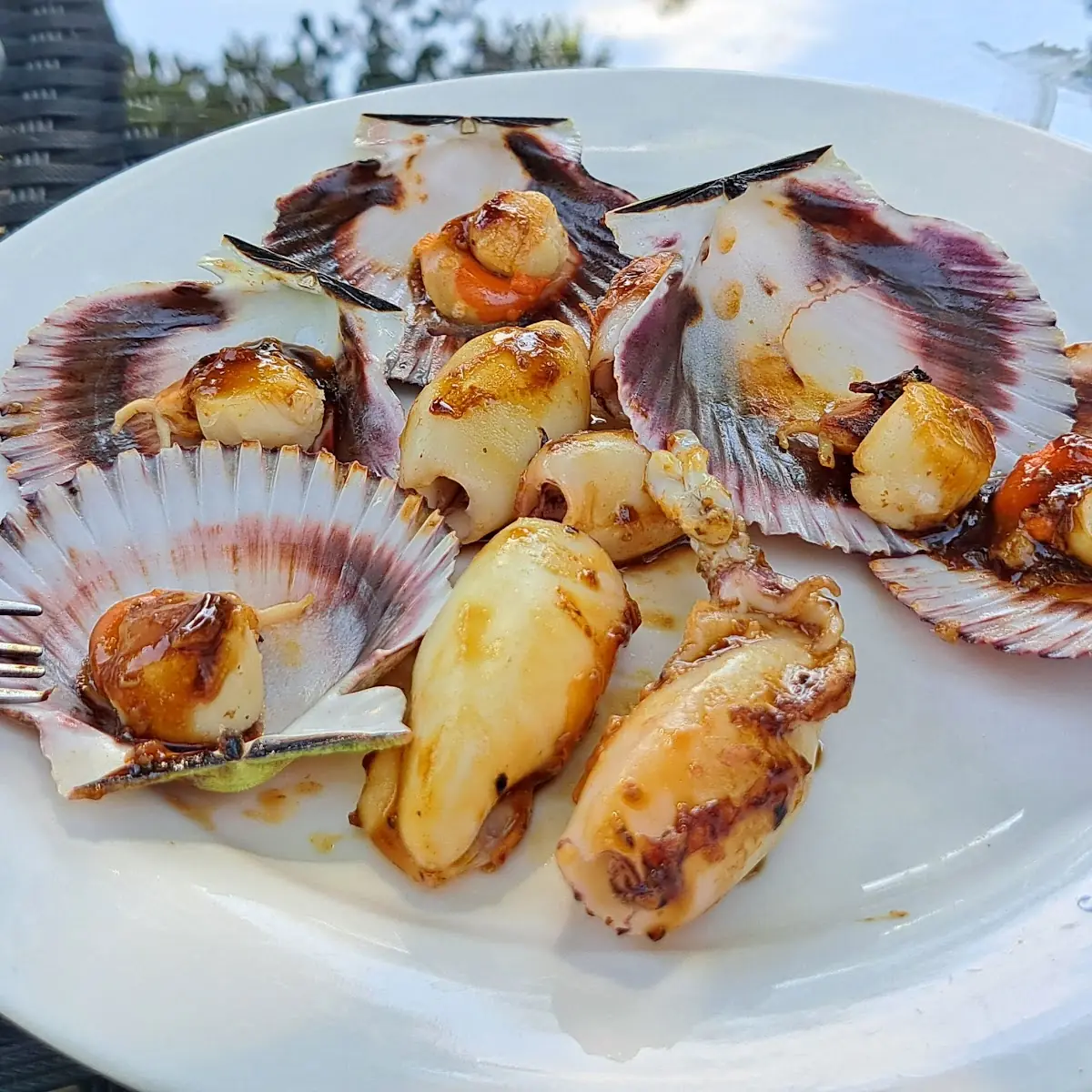 Cozze
