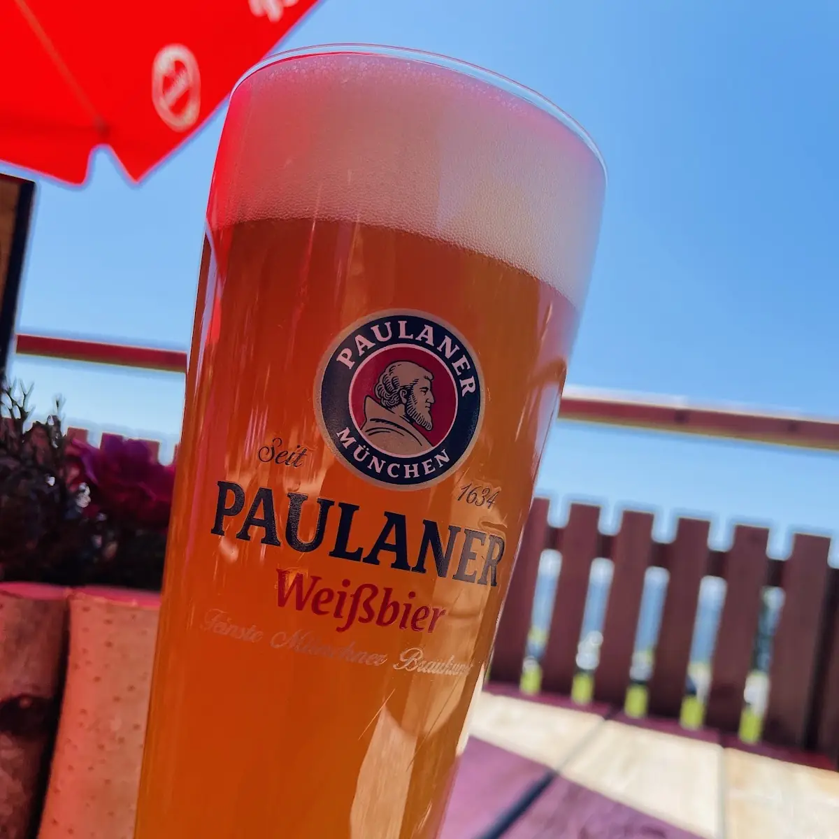 Bier
