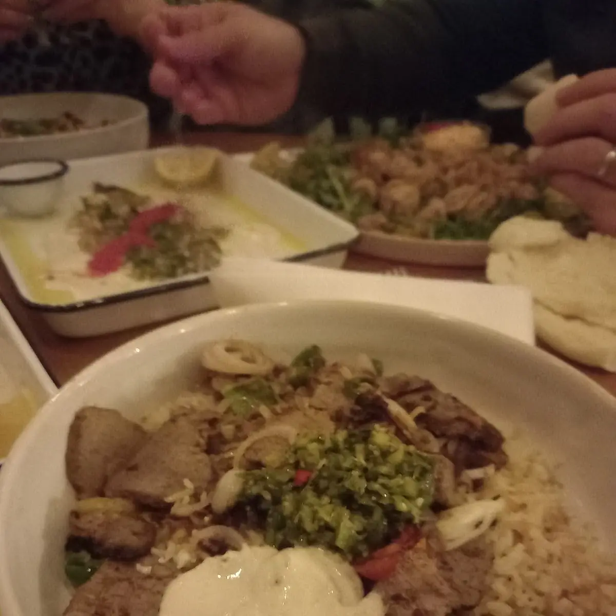 Bio-rind Shawarma