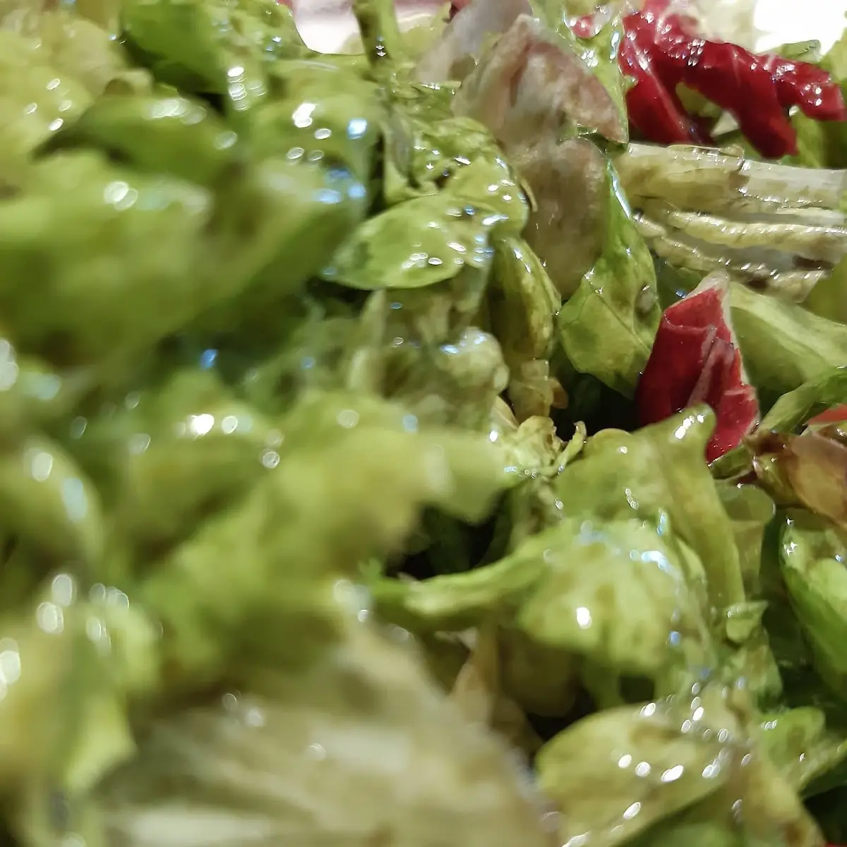 Gemischter Salat