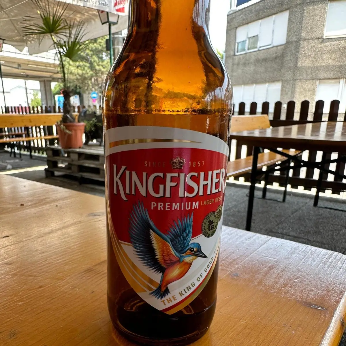 Kingfisher 0 3l