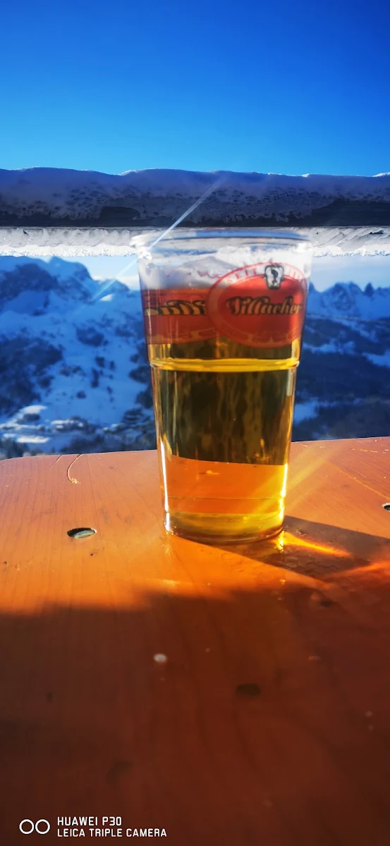 Bier