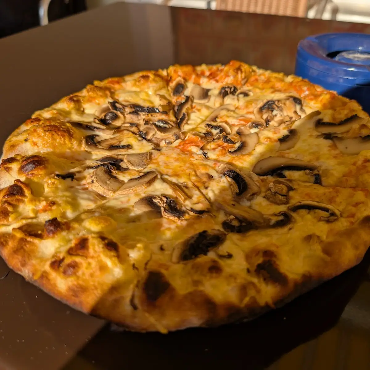 Pizza Funghi