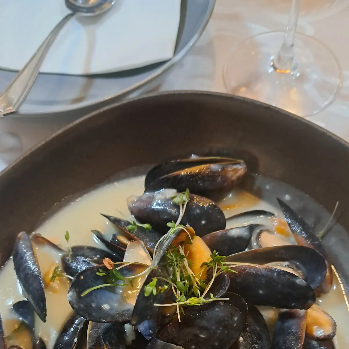 Miesmuscheln