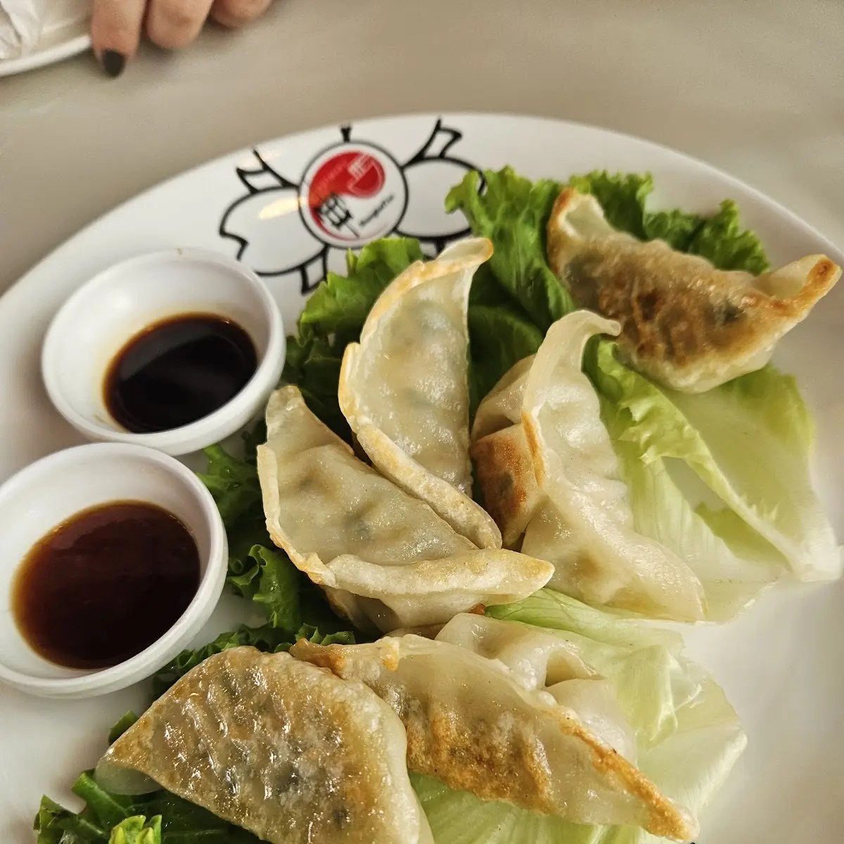 Gyoza Vegetarischºv