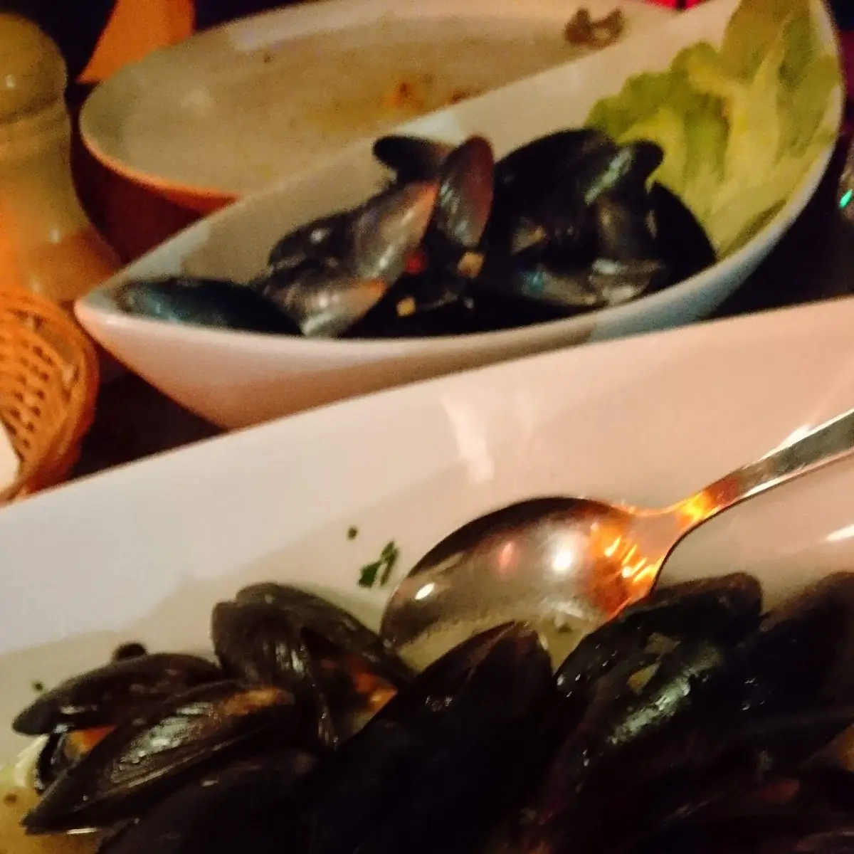 Miesmuscheln